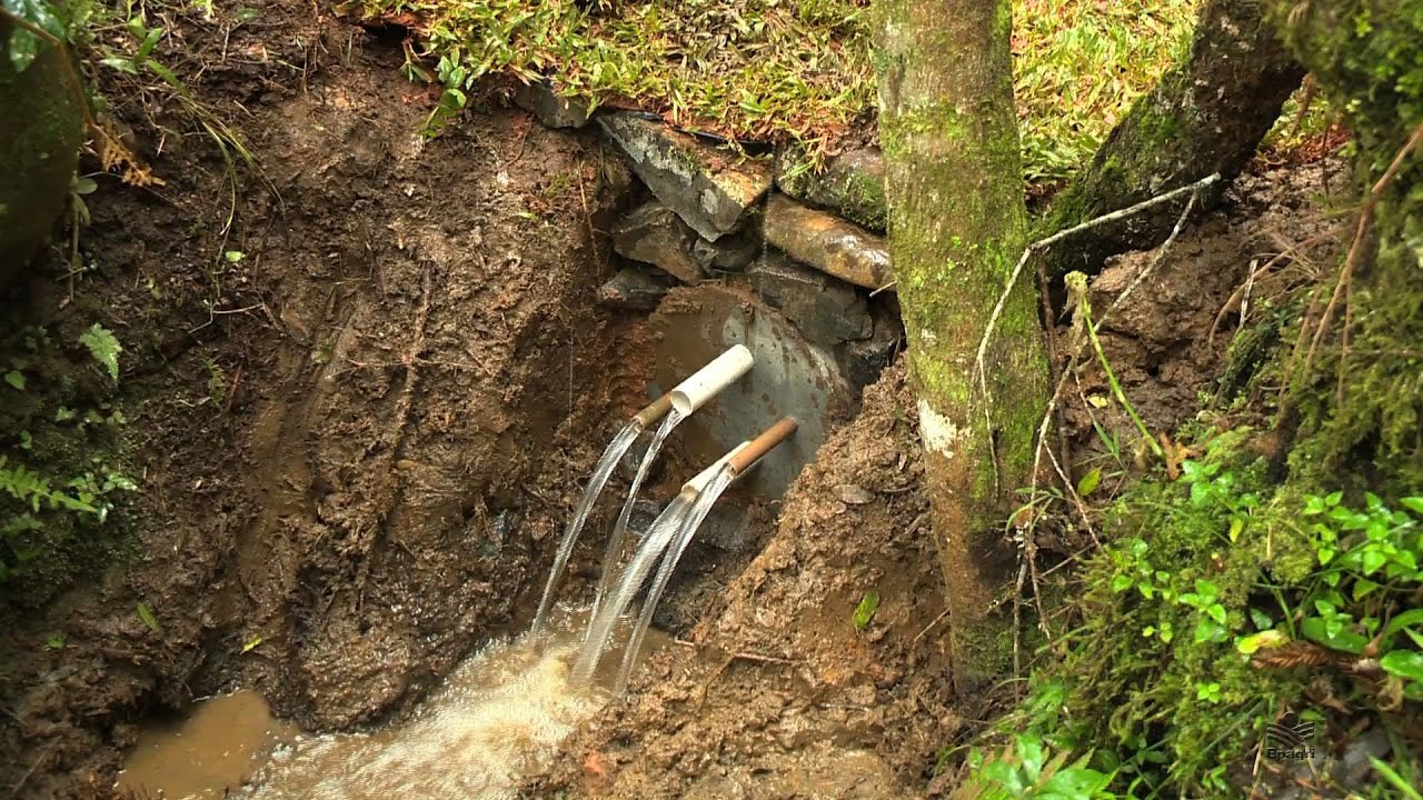 Fonte modelo Caxambu