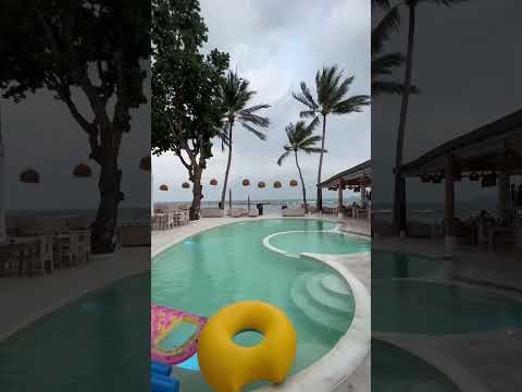 Vibes at Elephant Beach Club, Koh Samui 🌊🍹 | Ultimate Tropical Escape #trending #travel #kohsamui