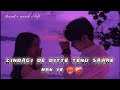 Zindagi Ne Ditte Tenu Saare Haq Ve ‍ Best Heart Touching Song ‍ Lofi