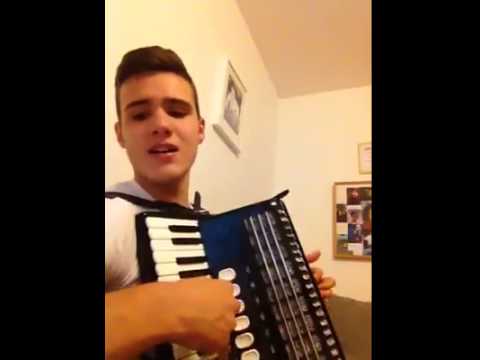 Adnan Ado - Ljubavi moja (Harmonika cover)