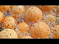 ขนมอีตุยใส้เค็ม ขนมงา สูตรดั้งเดิม �