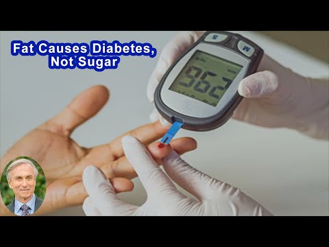 Fat Causes Diabetes, Not Sugar