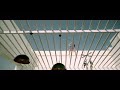 Sad Status Aadithya Varma Status Tamil Whatsapp Status