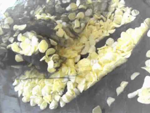 Lou x -Oro e acciaio