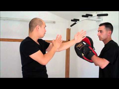 Sifu Alan