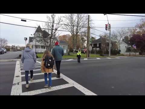 Crossing Guard Safety