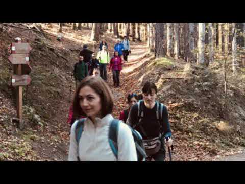 Un Treno per Vallombrosa