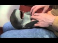 The shark like tickling (3D funny) | Акуле нравится ...