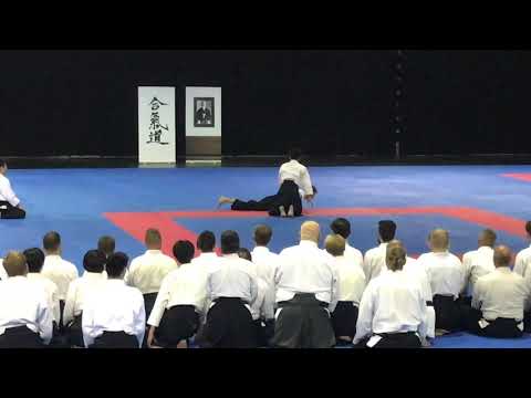 Mitsuteru Ueshiba dojo cho, Budapest, 2019.