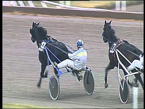 Trotto 22/04/2016 - 7° Corsa