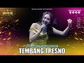 ERSA AMELIA TEMBANG TRESNO I Mahesa Music Live Madiun