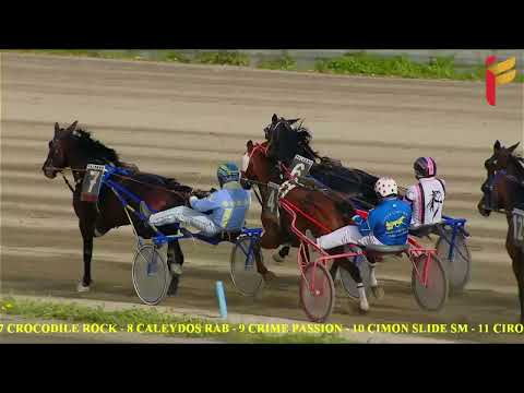 Prova di qualifica del 24 Aprile 2022 - 3 Anni - Metri 1600