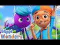 Blippi Wonders Blippi Learns About Spider Webs Spider ART Educational Cartoons For Kids