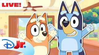 🔴 LIVE! 24 HOURS Bluey Full Episodes | @disneyjr x @BlueysBestestFriends Live TV