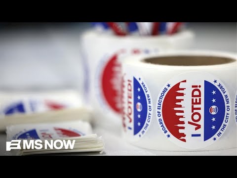 NYC Mayor Mamdani's candidates prevail with bold ideas that Democrats say they can win on
