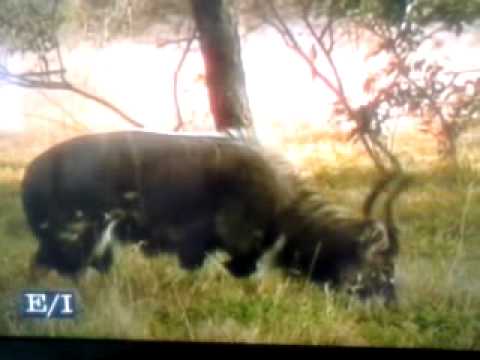 I took a video a gost cought on tape