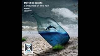 David Di Sabato - Somewhere In The Rain (Difstate Remix)