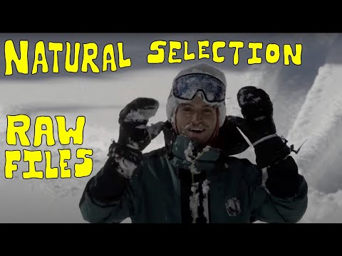 Natural Selection Raw Files