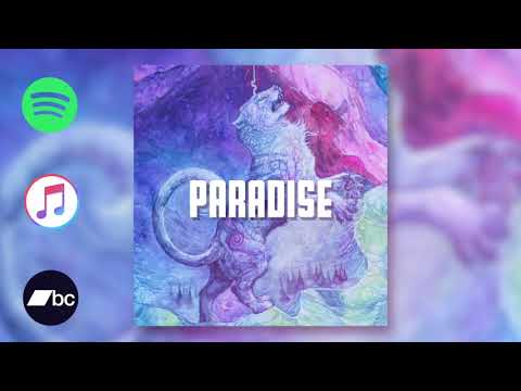 Paradise - Cartoon Theory x Visenya