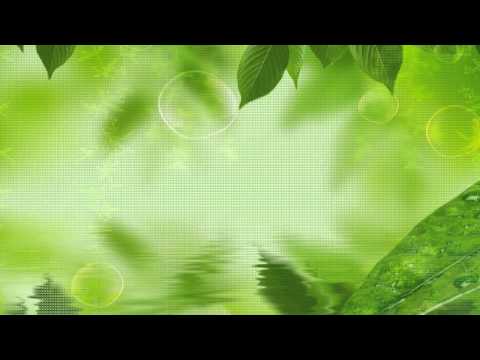 單簧管 Clarinet (黑管、豎笛)樂器演奏CL014--北国の春(榕樹下)