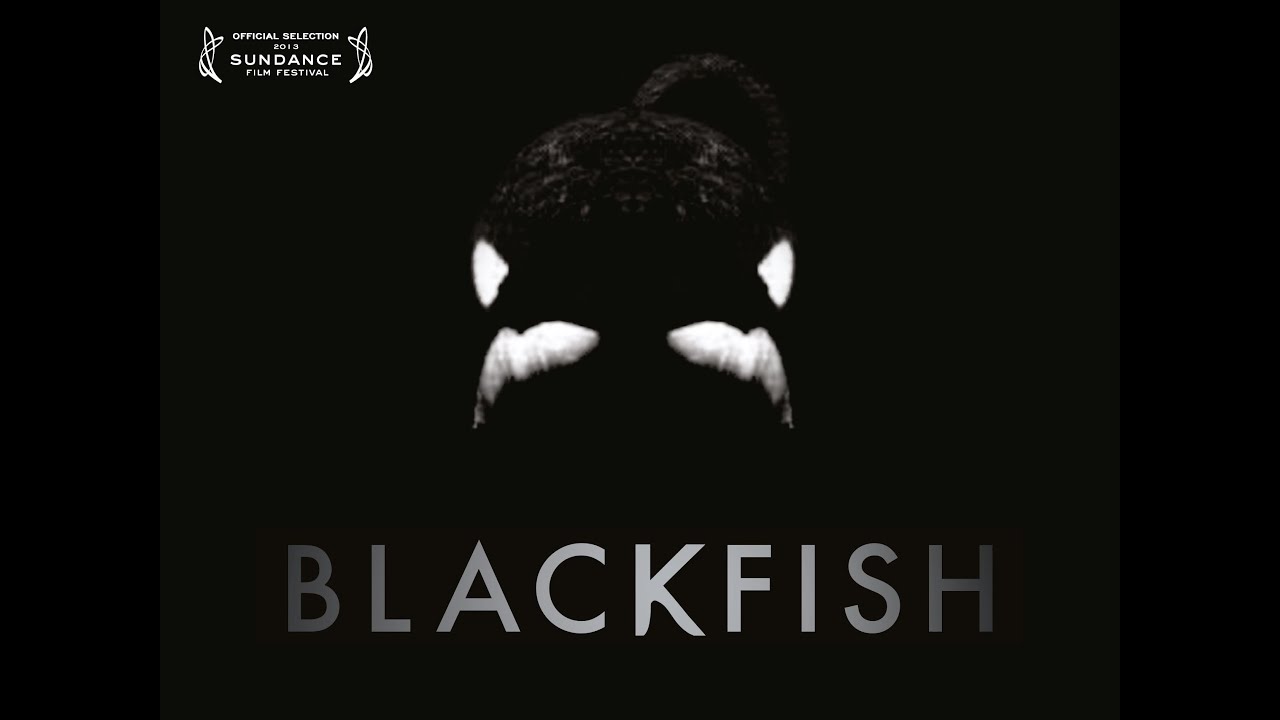 Blackfish