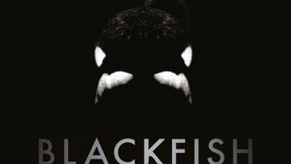 Video trailer för Blackfish
