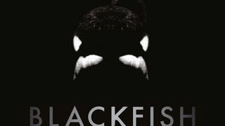 Blackfish - Official Trailer