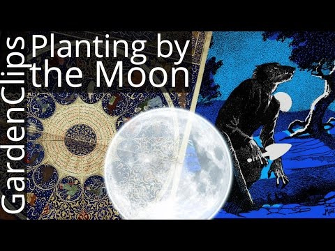 Gardening by Moon Phases - An Agnostic look at Planting by the Moon and Astrological Signs