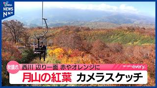 月山で紅葉が見ごろを迎える　見事な色づき　山形・西川町のペアリフト付近