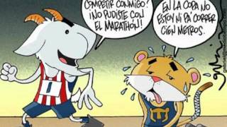 CONTESTACION CHIVAS A MOLOTOV