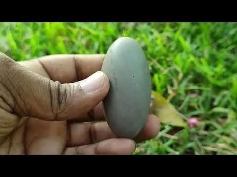 Devadideva Gangadhara Mahayogi Ardhanari Nateshwar Shiva Puja set video