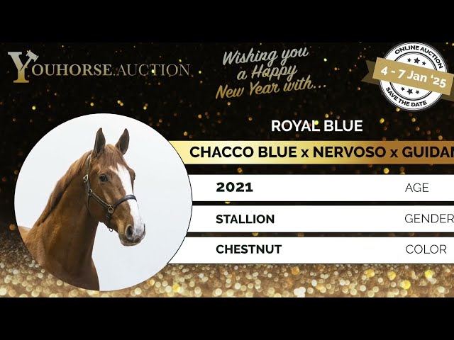 Pristanna grandmother Royal Blue