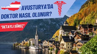 Avusturya’da Doktor Nasıl Olunur? 2024 Yılı & Detaylı Rehber Anlatım