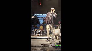 Vilain Pingouin - Salut Salaud - Live Qc 2019