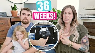 36 Week Ultrasound | Why I'm Choosing Midwives & Birthing Center