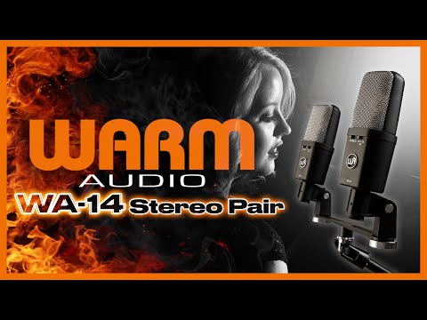 Warm Audio WA-14SP image 2