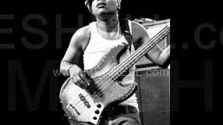 (fan video!) Me&#39;shell NdegeOcello - Jabril