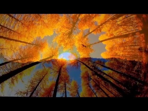 Favo de mel - Milton Nascimento