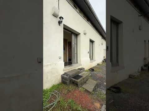 Vidéo