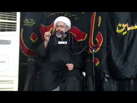 ⁣حكمة التشريع - الدكتور الشيخ إبراهيم العاملي - شط العرب