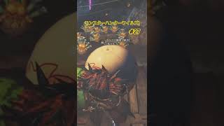 【モンスターハンターワイルズ】タルコロ💣　#27　ショート動画