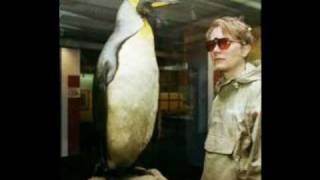 Schneider TM / Frogtoise (Exploitation-Edit)