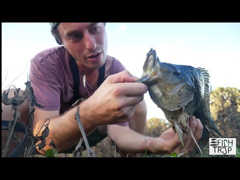 Questo pesce è malato? - La mia prima cattura in QUEENSLAND (AUSTRALIA)