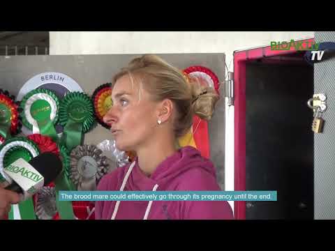 Reitstall Kubon Perrier über den Einsatz von BioAktiv in der Pferdefütterung