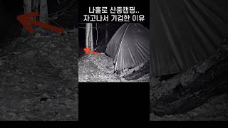Download lagu 나홀로 산속 캠핑 왔다가.. 블박 영상보고 기겁한 이유 mp3