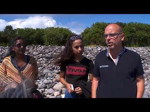 Adoptée, elle retourne à la Réunion sur les traces de sa famille biologique