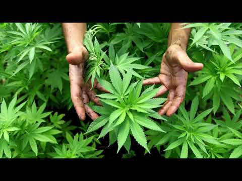 Skeleton Key - Dub Kuruption