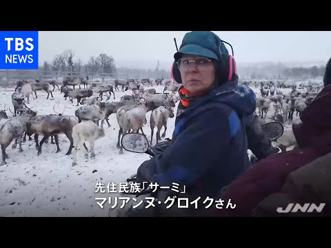 Los indígenas sami que viven con renos se ven afectados por el calentamiento global y la generación de energía eólica...