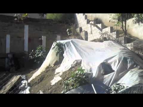 1353 Machado Street, East Los Angeles, Ca 90063