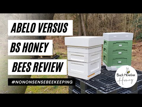 Abelo vs BS Honey Bees Poly Hive Review